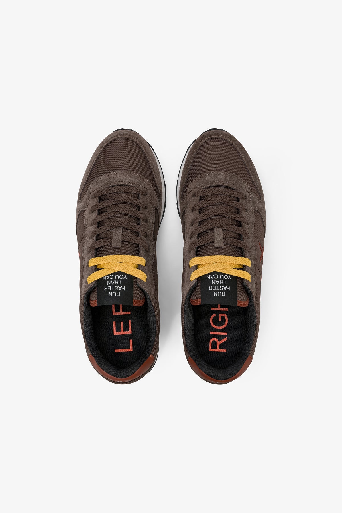 Sneakers Tom Solid Marrone